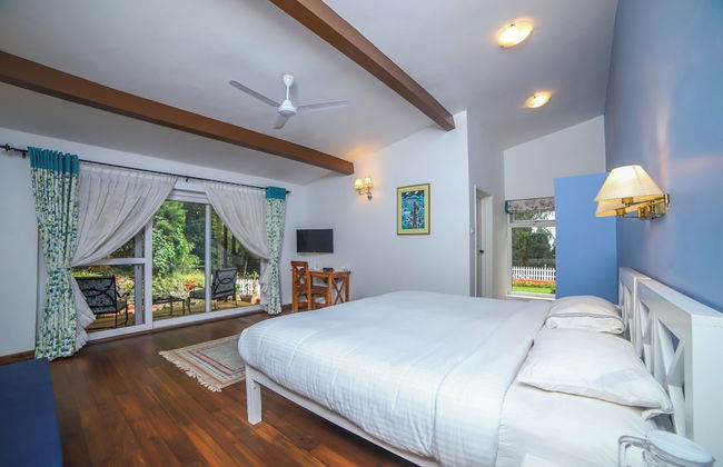 Rayne Forest - Foto 5