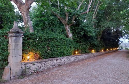 Château de Livière - Photo 18