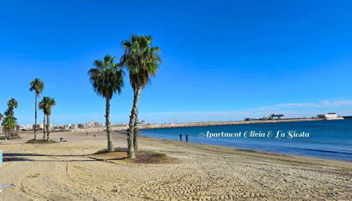 Apartment La Siesta - Foto 3