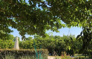 Le Grès 313 - Photo 32