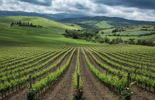 Agriturismo Poggio Istiano - Foto 74