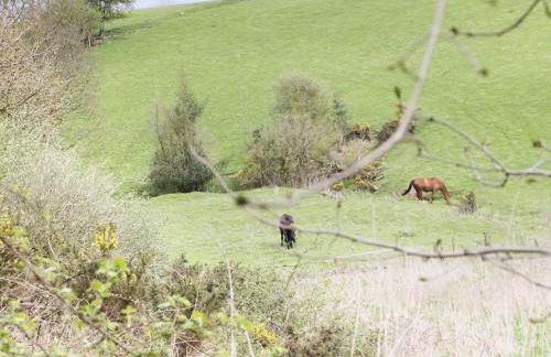 16 Badgers Retreat - Foto 14