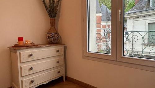 T3 cinéma - Centre historique, bord de Loire - Photo 5