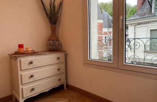 T3 cinéma - Centre historique, bord de Loire - Foto 5