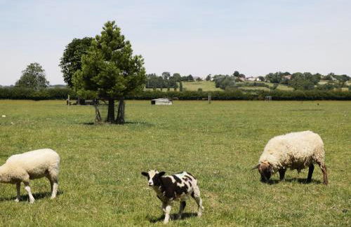 Meadow Cottage - Foto 16