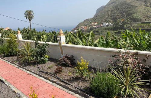 Banana House - Foto 38