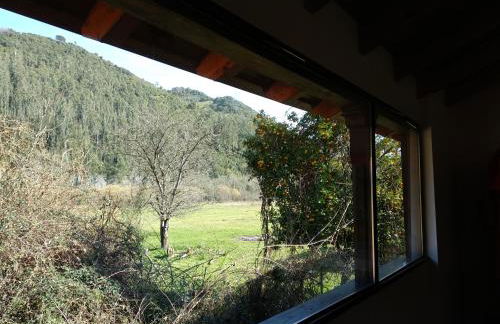 Ca Rifo, casa rural en Asturias, puerta de Somiedo a orillas del río Narcea - Foto 18