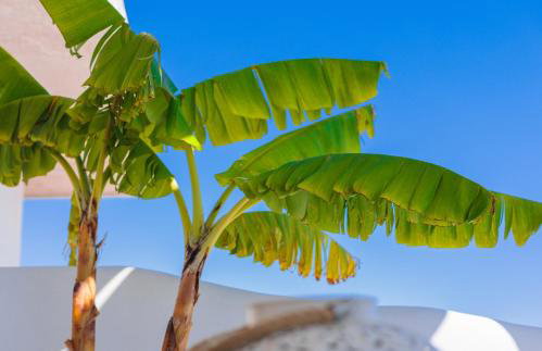 Blue Paradise Apartment - Foto 32