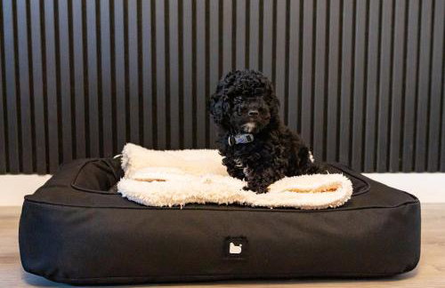 Sunbeam House 1 Morecambe Pet Friendly - Foto 2
