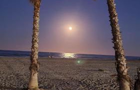 Apartamento de lujo en Canet de Berenguer a 150 m de la playa - Photo 1