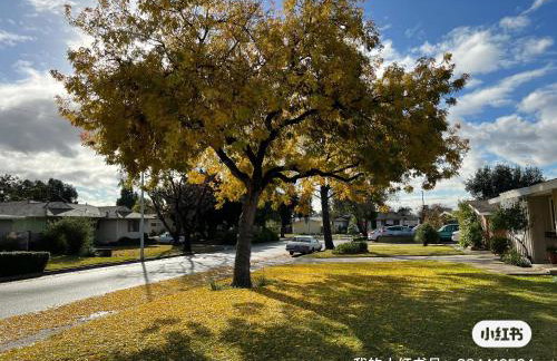 温馨的小房间 - Foto 2