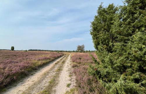 BigOak Wintermoor Schneverdingen - Foto 16