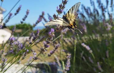 Apartment Luce - Foto 10