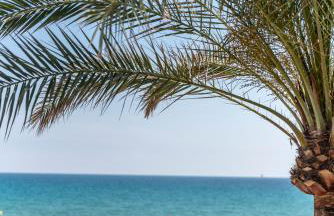 Apartaments Delfin - Photo 39