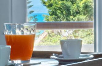 Butterfly House - Photo 42