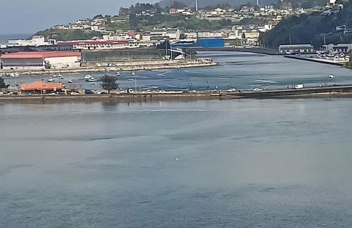 MARINA SOL VIVEIRO - Foto 28