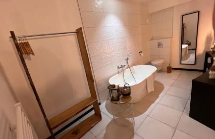 Hôtel Gîte La Bonaventure Jezainville - Foto 48