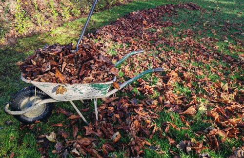 TheWeeHouseOnTheHill - Foto 12