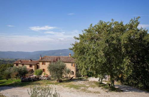 Villa in Umbria With Saltwater Pool - Photo 66