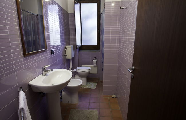 Agricontura - Foto 77