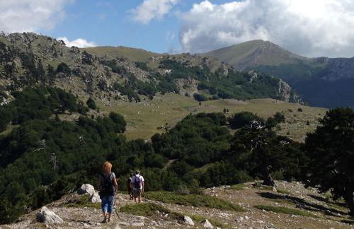 "CUORE DEL POLLINO" Locazione turistica - Foto 2