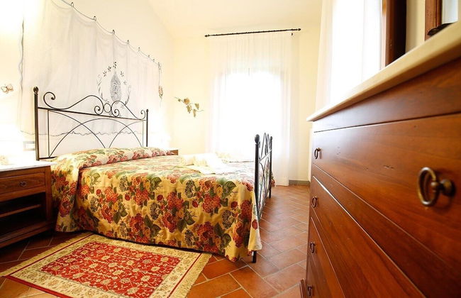 Gatto Bianco Tizzauli - Foto 2