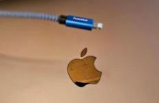 Urheim Rose - Dogfriendly - Foto 47