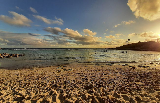 Kaz ananas passion - Photo 41