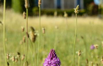 Casa Sarasa - Foto 22