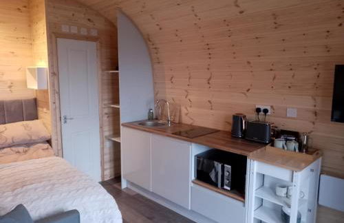 Faodail 'a lucky find' - Foto 8