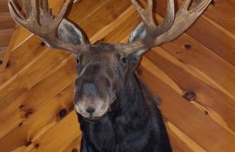 Spectacular Vermont Mountain Retreat! - Foto 19