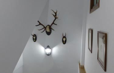 Casa Altemir - Photo 25