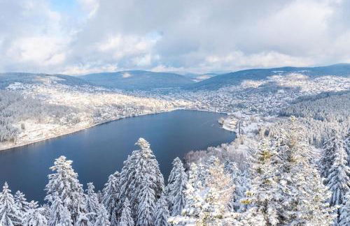 BEAUTIFUL CHALET in nature near Gerardmer! - Foto 35