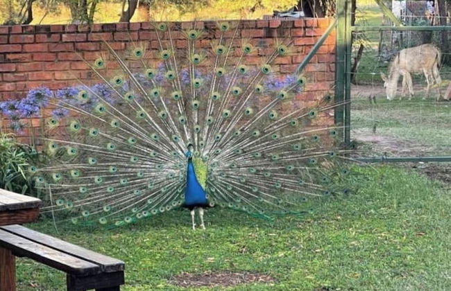 Kings View Exclusive Villas - Foto 63