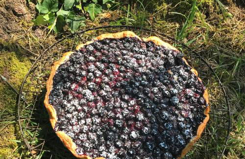 Gîte du Hibou - jolie dépendance sur verger - Foto 20