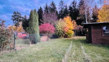 Ferienwohnung Am Wald - Foto 3, Garden