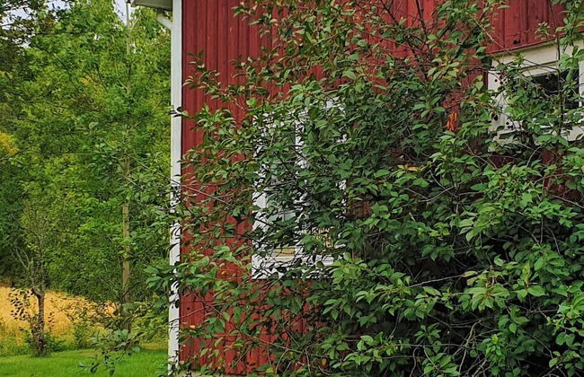 4 Person Holiday Home in Jarvso-by Traum - Photo 30