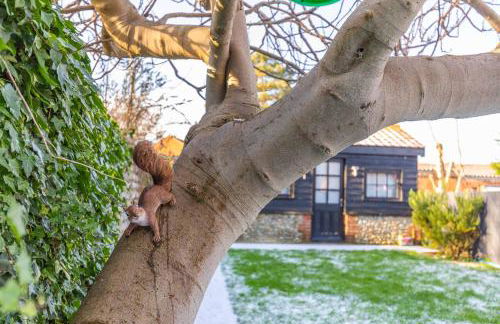 Dibley Cottage Mundesley - Foto 18