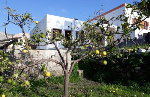 MARIA GUESTHOUSE KINI - Foto 3