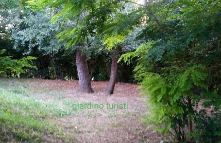 Casolare Toscano - Foto 9