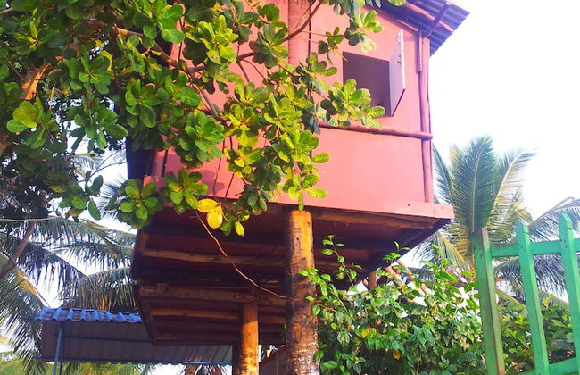 Daaven's Island Resort - Photo 16