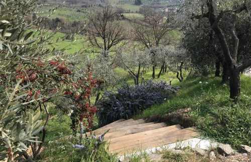 La Casa di Demetra. Un Paradiso tra gli Olivi. - Foto 25