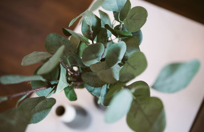 QuickStay - Beautiful Toronto Condo, City Views - Foto 16