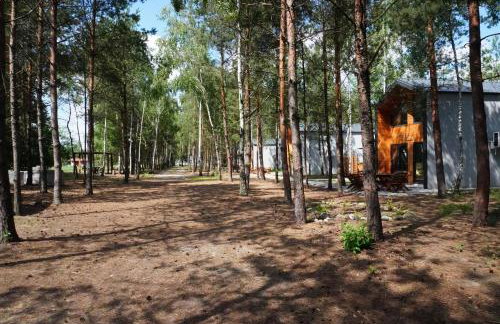 Domki SHERWOOD - Foto 36