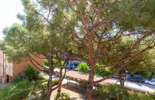 Apartamento Cabrera Montserrat - Foto 12