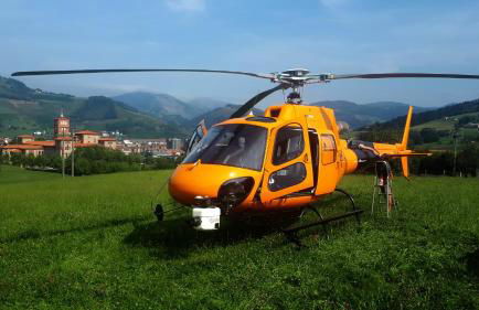 Txanpardin - Foto 70