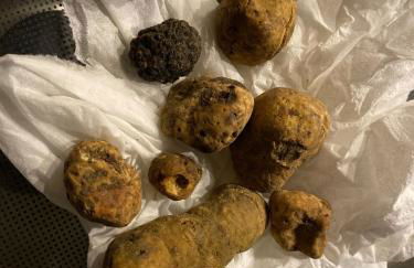 Agriturismo Colpo di Fortuna - Foto 62