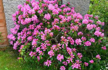 Ferienhaus am Birkenwaeldchen - Motzener See 150m - Foto 47