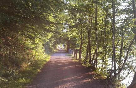 Fewo Am Edersee - Photo 14