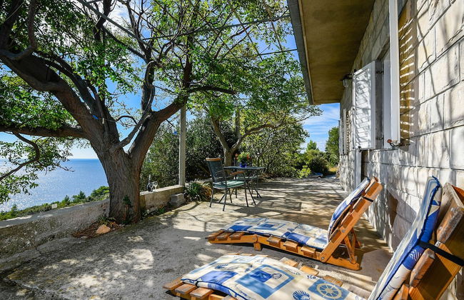 Country Home Dingač - Photo 22